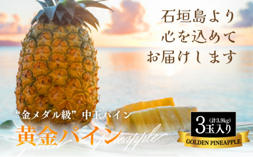 ＜先行予約＞ 石垣島産 黄金パイン 中玉 3玉 約3.9kg ＜2026年7月以降発送＞【 産地直送 沖縄 石垣 フルーツ パイナップル パイン 黄金パイン 】 SI-121
