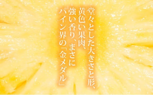 ＜先行予約＞ 石垣島産 黄金パイン 中玉 2玉 約2.6kg ＜2026年7月以降発送＞【 産地直送 沖縄 石垣 フルーツ パイナップル パイン 黄金パイン 】 SI-120