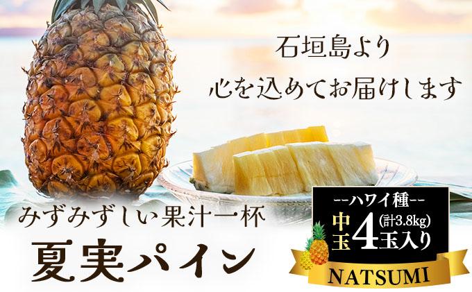 縲仙郁。御コ育エ縲醍浹蝙」蟲カ逕」 螟丞ョ溘ヱ繧、繝ウ (繝上Ρ繧、遞ョ) 荳ュ邇4邇 邏3.8kg縲2026蟷エ7譛井ク区流逋コ騾√九 逕」蝨ー逶エ騾 豐也ク 遏ウ蝙」 繝輔Ν繝シ繝 繝代う繝翫ャ繝励Ν 繝代う繝ウ 繝上Ρ繧、 螟丞ョ溘ヱ繧、繝ウ 縲全I-125