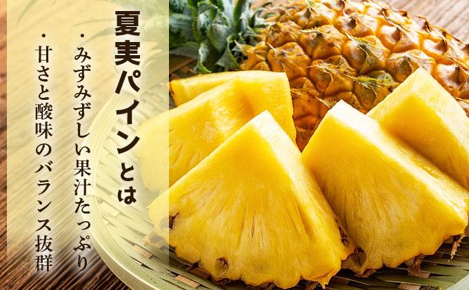 【先行予約】石垣島産 夏実パイン (ハワイ種) 中玉3玉 約2.8kg《2026年7月下旬発送》【 産地直送 沖縄 石垣 フルーツ パイナップル パイン ハワイ 夏実パイン 】SI-124