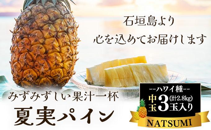 【先行予約】石垣島産 夏実パイン (ハワイ種) 中玉3玉 約2.8kg《2026年7月下旬発送》【 産地直送 沖縄 石垣 フルーツ パイナップル パイン ハワイ 夏実パイン 】SI-124