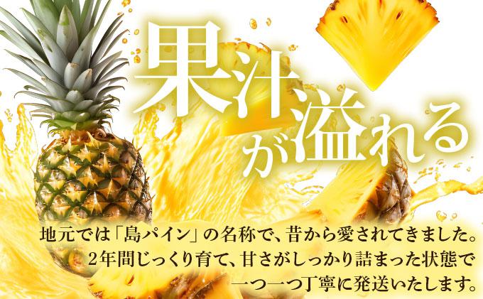 【先行予約】石垣島産 夏実パイン (ハワイ種) 中玉3玉 約2.8kg《2026年7月下旬発送》【 産地直送 沖縄 石垣 フルーツ パイナップル パイン ハワイ 夏実パイン 】SI-124