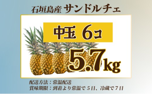 【先行予約】石垣島産 中玉サンドルチェ６玉 合計約5.7kg 《2026年7月中旬以降発送》【 沖縄 石垣 フルーツ パイナップル パイン サンドルチェ 産地直送 】SI-109