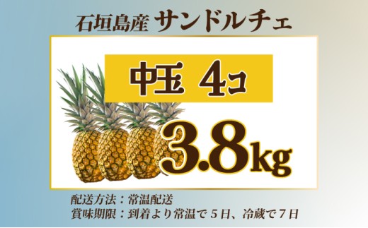 ãå
è¡äºçŽãç³å£å³¶ç£ äžçãµã³ãã«ãã§ïŒç åèšçŽ3.8kg ã2026幎7æäžæ¬ä»¥éçºéã ã æ²çž ç³å£ ãã«ãŒã ãã€ãããã« ãã€ã³ ãµã³ãã«ãã§ ç£å°çŽé ãSI-108