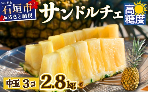 【先行予約】石垣島産 中玉サンドルチェ３玉 合計約2.8kg《2025年夏季 順次発送》【 沖縄 石垣 フルーツ パイナップル パイン サンドルチェ 産地直送 】SI-107