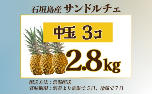 ãå
è¡äºçŽãç³å£å³¶ç£ äžçãµã³ãã«ãã§ïŒç åèšçŽ2.8kg ã2026幎7æäžæ¬ä»¥éçºéãã æ²çž ç³å£ ãã«ãŒã ãã€ãããã« ãã€ã³ ãµã³ãã«ãã§ ç£å°çŽé ãSI-107