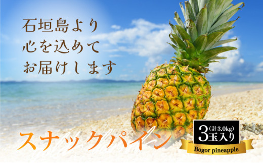【先行予約】石垣島産 中玉スナックパイン（ボゴール）3玉 約3kg 《2026年5月以降発送》SI-110