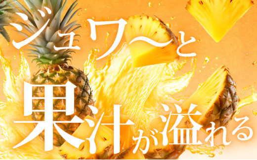 【先行予約】石垣島産 中玉スナックパイン（ボゴール）3玉 約3kg 《2026年5月以降発送》SI-110
