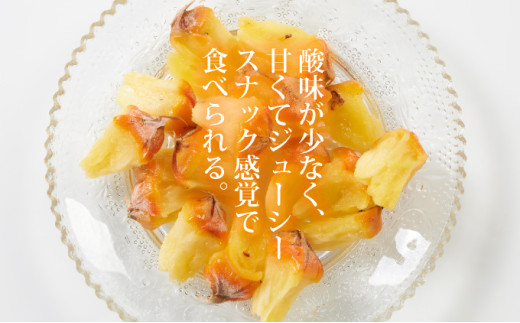 【先行予約】石垣島産 中玉スナックパイン（ボゴール）6玉 約6kg 《2026年5月以降発送》SI-112