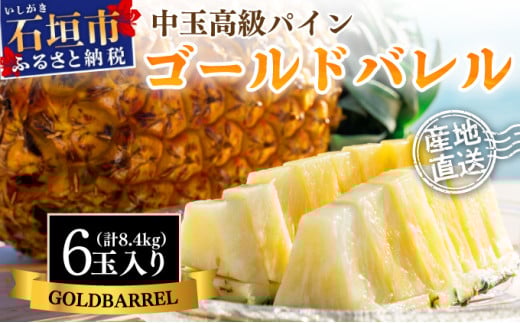 【先行予約】石垣島産 中玉ゴールドバレル６玉 合計約8.4kg《2025年夏季 順次発送》【 沖縄 石垣 パイン パイナップル フルーツ くだもの 果物 産地直送 】SI-116