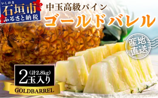 ＜先行予約＞ 石垣島産 中玉ゴールドバレル ２玉 約2.8kg ＜2026年7月以降発送＞ | 産地直送 沖縄 石垣 フルーツ パイナップル パイン ゴールドバレルパイン SI-113