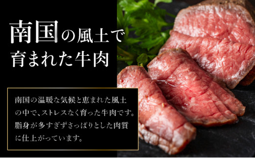 ãé æ¬¡çºéããæ³šç®ã®éžåãæ¥µäžããŒã¹ãããŒã ç³å£å³¶ç£ã黿¯åçã 400g | ãè è çè å·å åç çè å·å 䞌 ãžã¥ãŒã·ãŒ äººæ° ãããã åœç£ åœç£ç å°åã å
«éå±±é£èã»ã³ã¿ãŒ