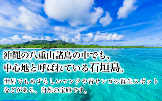 ホテルグランビュー石垣The First　ツイン宿泊利用券（1泊朝食付き）
