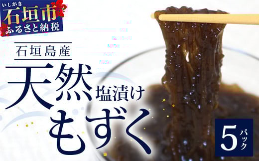 【石垣島特産】天然もずく（塩漬け）、たっぷり食べ応え2.25kg（450g×5個）【 沖縄 石垣島 八重山 もずく 塩もずく】 R-33