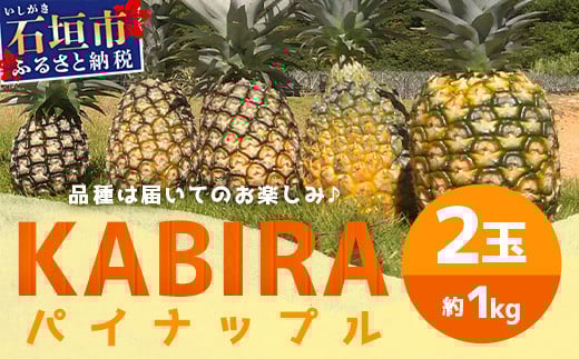 【予約受付】【KABIRAパイナップル2玉1kg以上】♪品種は届いてのお楽しみ♪《2025年5月以降順次発送》MF-1