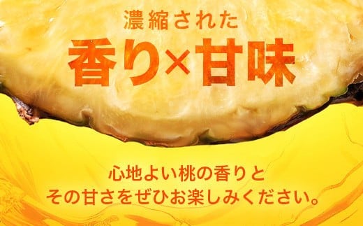 ãå
è¡äºçŽãããŒãïŒãã³ãããã€ã³é£ã¹æ¯ã¹ 1ïœïœïŒèšïŒçïŒãå§ãâªå·å¹³ãã€ã³ã2026幎5æïœ10æé é æ¬¡çºéãKN-5