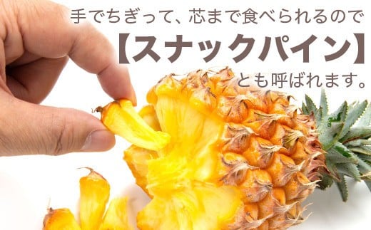 【先行予約】ポコットパイン1ｋｇ（1～2玉）お勧め♪川平パイン《2026年5月～10月頃順次発送》KN-3