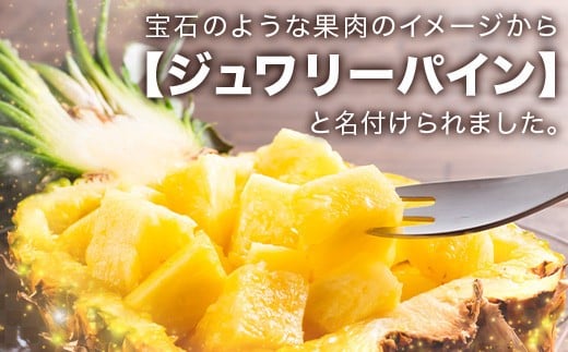【先行予約】ジュワリーパイン1ｋｇ（1～2玉）お勧め♪川平パイン《2026年7月～8月頃順次発送》KN-1