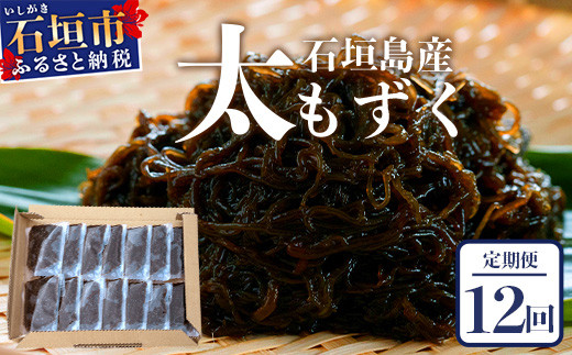 【石垣島産もずく定期便12回】毎月80g×14パックを計12回お届けします【 沖縄県 石垣市 養殖 水雲 海藻 もずく フコイダン  塩もずく 太もずく 沖縄もずく 定期便 定期配送 】SI-105