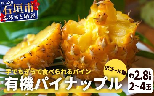 [先行予約] 石垣島産 有機パイナップル ボゴール種 2〜4玉(約2.8kg)[6月上旬発送予定]| パイナップル パインアップル 石垣島パイン フルーツ 果物 くだもの 南国フルーツ 国産パイン
