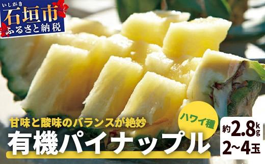 [先行予約] 石垣島産 有機パイナップル ハワイ種 2〜4玉 (約2.8kg)[7月上旬順次発送]| パイナップル パインアップル 石垣島パイン フルーツ 果物 くだもの 南国フルーツ 国産パイン