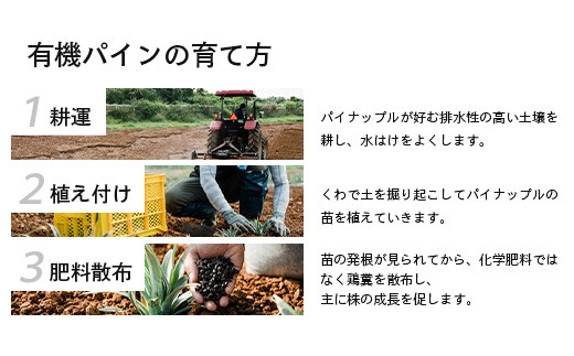 ïŒå
è¡äºçŽïŒ ç³å£å³¶ç£ ææ©ãã€ãããã« ãã¯ã€çš® 2ïœ4ç (çŽ2.8kg)ã7æäžæ¬é 次çºéã| ãã€ãããã« ãã€ã³ã¢ããã« ç³å£å³¶ãã€ã³ ãã«ãŒã æç© ãã ãã® ååœãã«ãŒã åœç£ãã€ã³ E-39