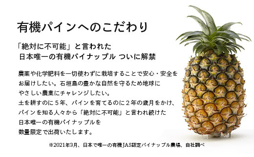 ïŒå
è¡äºçŽïŒ ç³å£å³¶ç£ ææ©ãã€ãããã« ãã¯ã€çš® 2ïœ4ç (çŽ2.8kg)ã7æäžæ¬é 次çºéã| ãã€ãããã« ãã€ã³ã¢ããã« ç³å£å³¶ãã€ã³ ãã«ãŒã æç© ãã ãã® ååœãã«ãŒã åœç£ãã€ã³ E-39