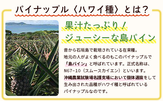 ïŒå
è¡äºçŽïŒ ç³å£å³¶ç£ ææ©ãã€ãããã« ãã¯ã€çš® 2ïœ4ç (çŽ2.8kg)ã7æäžæ¬é 次çºéã| ãã€ãããã« ãã€ã³ã¢ããã« ç³å£å³¶ãã€ã³ ãã«ãŒã æç© ãã ãã® ååœãã«ãŒã åœç£ãã€ã³ E-39