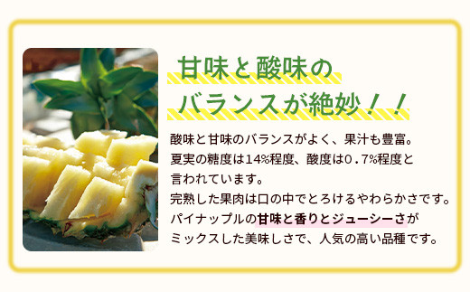 ïŒå
è¡äºçŽïŒ ç³å£å³¶ç£ ææ©ãã€ãããã« ãã¯ã€çš® 2ïœ4ç (çŽ2.8kg)ã7æäžæ¬é 次çºéã| ãã€ãããã« ãã€ã³ã¢ããã« ç³å£å³¶ãã€ã³ ãã«ãŒã æç© ãã ãã® ååœãã«ãŒã åœç£ãã€ã³ E-39