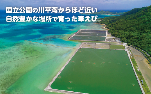 ç³å£å³¶ç£è»ãã³ã«ã¬ãŒïŒå°èŸïŒãå·å 6é£ãç³å£å³¶ã®ã«ã¬ãŒå°éåºãäœããåœå°ã«ã¬ãŒãSK-4