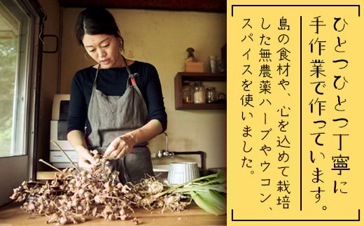 島コーラS 3本セット【沖縄県 石垣島 コーラ クラフトコーラ ハーブ ウコン スパイス】CS-2