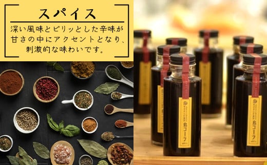 島コーラS 3本セット【沖縄県 石垣島 コーラ クラフトコーラ ハーブ ウコン スパイス】CS-2