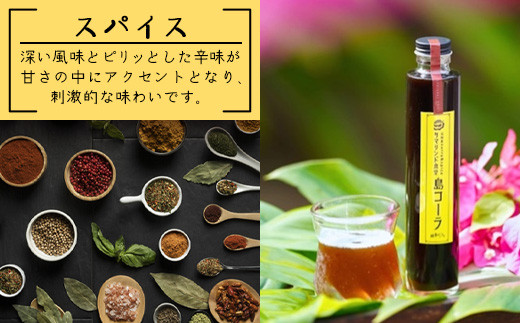 島コーラ 2本セット【沖縄県 石垣島 コーラ クラフトコーラ ハーブ ウコン スパイス】CS-1