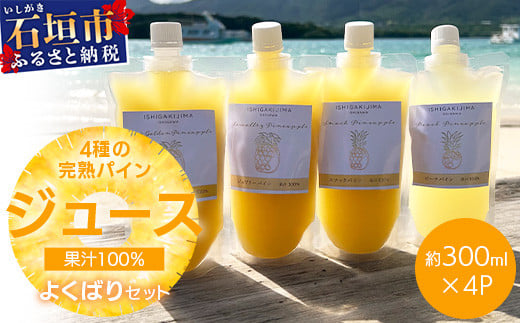 《2026年4月以降順次発送》 完熟パイン果汁100％！！濃厚ジュース4種のよくばりセット！【 沖縄県 石垣 完熟 パイン パイナップル スナック パイン ピーチ 黄金 果汁 100％ 】TF-46_R8