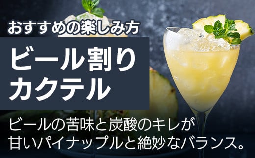 《2026年4月以降順次発送》 完熟パイン果汁100％！！濃厚ジュース4種のよくばりセット！【 沖縄県 石垣 完熟 パイン パイナップル スナック パイン ピーチ 黄金 果汁 100％ 】TF-46_R8