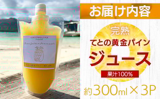 《2026年4月以降順次発送》完熟てとの黄金パインの果汁100％！！濃厚ジュース300ml×3パックをお届け！【 沖縄県 石垣 完熟 パイン パイナップル 黄金 果汁 100％ 】TF-45_R8