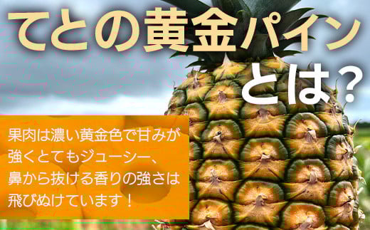 《2026年4月以降順次発送》完熟てとの黄金パインの果汁100％！！濃厚ジュース300ml×3パックをお届け！【 沖縄県 石垣 完熟 パイン パイナップル 黄金 果汁 100％ 】TF-45_R8