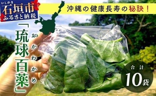 ＜先行予約＞2026年2月順次発送／沖縄の健康長寿の秘訣「琉球百薬（おかわかめ）」10袋！農薬を使わない栽培方法を続けるミネイさんの野菜【 沖縄 石垣島 石垣島産 野菜 農薬不使用 離島のいいもの 沖縄いいもの石垣島 】OI-25