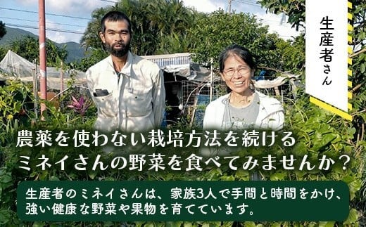 ＜先行予約＞2026年2月順次発送／沖縄の健康長寿の秘訣「琉球百薬（おかわかめ）」10袋！農薬を使わない栽培方法を続けるミネイさんの野菜【 沖縄 石垣島 石垣島産 野菜 農薬不使用 離島のいいもの 沖縄いいもの石垣島 】OI-25