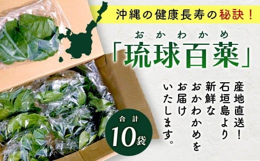 ＜先行予約＞2026年2月順次発送／沖縄の健康長寿の秘訣「琉球百薬（おかわかめ）」10袋！農薬を使わない栽培方法を続けるミネイさんの野菜【 沖縄 石垣島 石垣島産 野菜 農薬不使用 離島のいいもの 沖縄いいもの石垣島 】OI-25