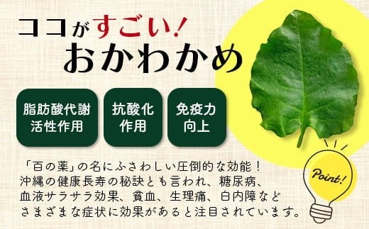 ＜先行予約＞2026年2月順次発送／沖縄の健康長寿の秘訣「琉球百薬（おかわかめ）」10袋！農薬を使わない栽培方法を続けるミネイさんの野菜【 沖縄 石垣島 石垣島産 野菜 農薬不使用 離島のいいもの 沖縄いいもの石垣島 】OI-25