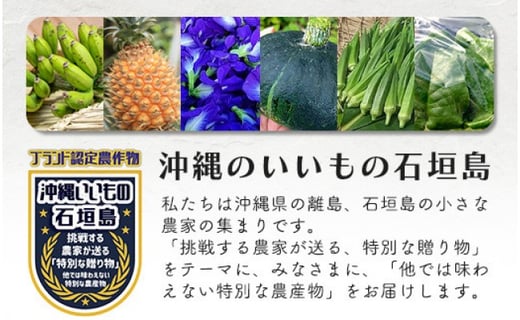 ＜先行予約＞2026年2月順次発送／沖縄の健康長寿の秘訣「琉球百薬（おかわかめ）」10袋と旬の野菜詰め合わせ！農薬を使わない栽培方法を続けるミネイさんの野菜【 沖縄 石垣島 石垣島産 野菜 セット 詰合せ 農薬不使用 離島のいいもの 沖縄いいもの石垣島 】OI-24