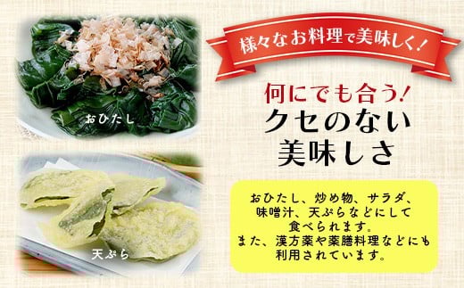 ＜先行予約＞2026年2月順次発送／沖縄の健康長寿の秘訣「琉球百薬（おかわかめ）」10袋と旬の野菜詰め合わせ！農薬を使わない栽培方法を続けるミネイさんの野菜【 沖縄 石垣島 石垣島産 野菜 セット 詰合せ 農薬不使用 離島のいいもの 沖縄いいもの石垣島 】OI-24
