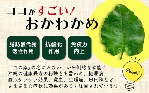 ＜先行予約＞2026年2月順次発送／沖縄の健康長寿の秘訣「琉球百薬（おかわかめ）」10袋と旬の野菜詰め合わせ！農薬を使わない栽培方法を続けるミネイさんの野菜【 沖縄 石垣島 石垣島産 野菜 セット 詰合せ 農薬不使用 離島のいいもの 沖縄いいもの石垣島 】OI-24