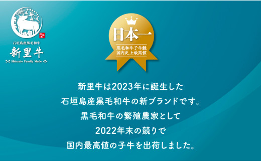 石垣島産 黒毛和牛 新里牛 厚切りヒレミニステーキ（訳あり・形がふぞろい・不定貫）（150g～200g×2）合計350g以上 ステーキ 焼肉 バーベキュー SZ-31