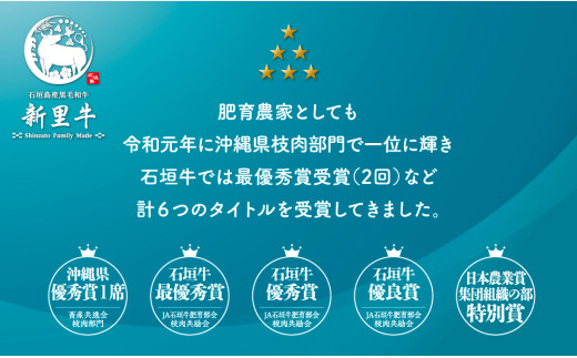 石垣島産 黒毛和牛 新里牛 厚切りヒレミニステーキ（訳あり・形がふぞろい・不定貫）（150g～200g×2）合計350g以上 ステーキ 焼肉 バーベキュー SZ-31