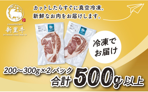 ïŒæééå® æ¥ãã§ã¢ïŒ ç³å£å³¶ç£ 黿¯åç æ°éç ã©ãã«ãªãããŒã¹ã¹ããŒãïŒäžå®è²«200ïœ300gÃ2ïŒåèš500gä»¥äž ã¹ããŒã çŒè ããŒããã¥ãŒ SZ-33