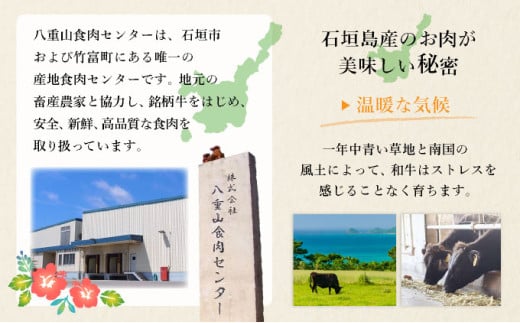 行列のできる 肉匠丸富からお届け‼︎《黒毛和牛》石垣島 島牛ハンバーグ 100g×10個  |和牛 牛肉 冷凍 ハンバーグ 人気 おすすめ 国産 国産牛 小分け 八重山食肉センター 黒毛和牛専門店 肉匠丸富 YC-7