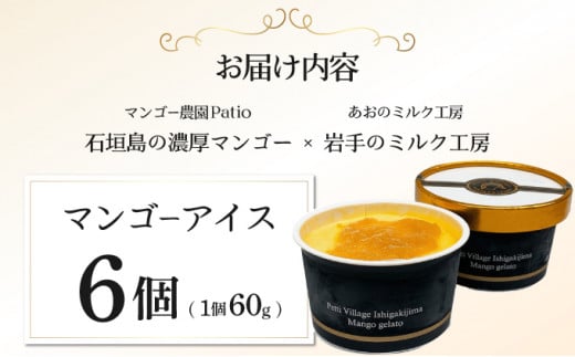 マンゴーアイス 6個（1個 60g）【石垣島 石垣市 沖縄県石垣市 セット アイス 石垣島産 八重山 マンゴー 牛乳 完熟マンゴー】 PI-1