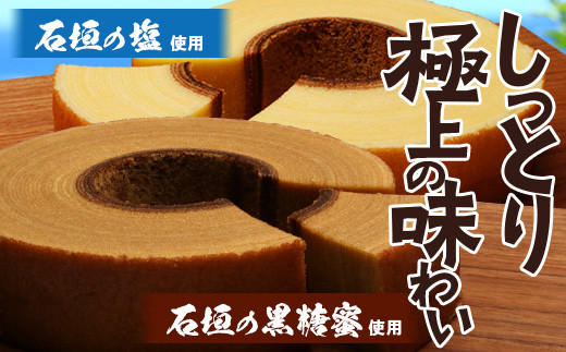 石垣島 やし屋手作り 石垣の塩バウムクーヘン×1箱 ＆ 黒糖バウムクーヘン×1箱＆手作り黒糖菓子　詰め合わせセット【 沖縄県 石垣市 石垣島 黒糖 石垣の塩 手作り 菓子 バウムクーヘン 】YA-4